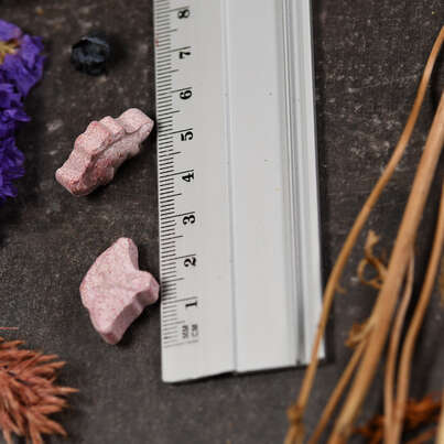 Supplementa Dinosaurier MultiSaurus Kautabletten, A-Nr.: 5395983 - 04