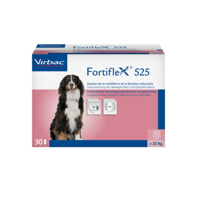 Fortiflex 525mg - Ergänzungsfuttermittel für Hunde, A-Nr.: 2317445 - 01