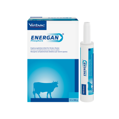 Energan Phosphor für Rinder, A-Nr.: 3003387 - 01