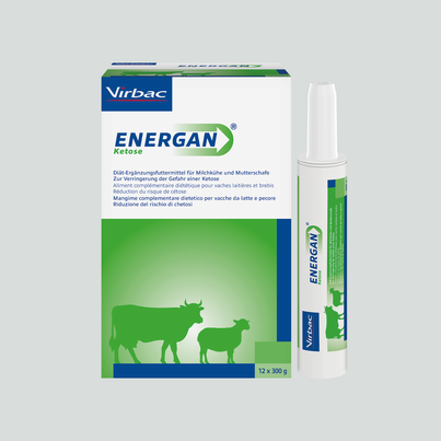 Energan Ketose für Milchkühe und Mutterschafe, A-Nr.: 3003370 - 02
