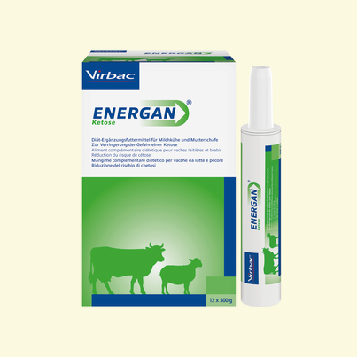 Energan Ketose für Milchkühe und Mutterschafe, A-Nr.: 3003370 - 03