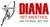 Diana Melissengeist 100ml, A-Nr.: 1615011 - 02