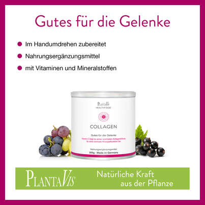 Collagen Drink - Gutes für die Gelenke, A-Nr.: 5606397 - 03