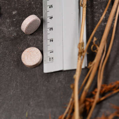 Supplementa Children‘s Multi-Vitamin Kautabletten, A-Nr.: 5573574 - 04