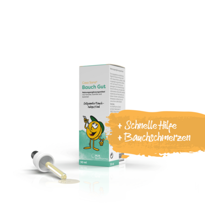 Sie sehen eine Packung Casa Sana Bauch Gut, Produktbild: 03 Casa Sana Bauch Gut, A-Nr.: 5237250 - 03