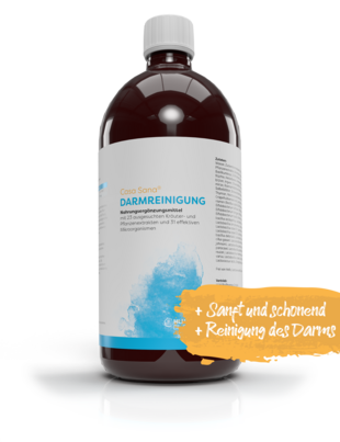 Sie sehen eine Packung Casa Sana DARMREINIGUNG, Produktbild: 01 Casa Sana DARMREINIGUNG, A-Nr.: 3967843 - 01