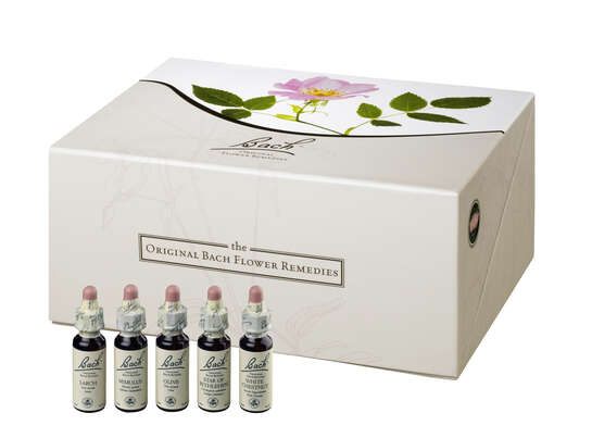 Original Bach®-Blüten Set 40 x 10ml, A-Nr.: 5374768 - 02