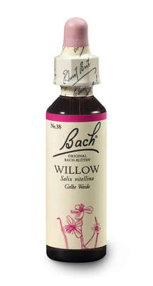 Bach®-Blüte Nr. 38 Willow (Gelbe Weide), A-Nr.: 5323446 - 03