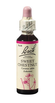 Bach®-Blüte Nr. 30 Sweet Chestnut (Esskastanie), A-Nr.: 5323340 - 01