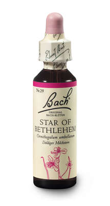 Bach®-Blüte Nr. 29 Star of Bethlehem (Doldiger Milchstern), A-Nr.: 5323334 - 02