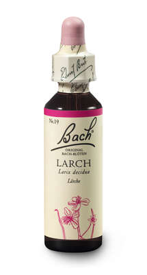 Bach®-Blüte Nr. 19 Larch (Lärche), A-Nr.: 5322978 - 03