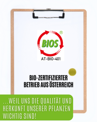 Sie sehen eine Packung Auwald® - Löwenzahnwurzel - BIO Tropfen (Auszug, Extrakt, Essenz), Produktbild: 02 Auwald® - Löwenzahnwurzel - BIO Tropfen (Auszug, Extrakt, Essenz), A-Nr.: 5680086 - 02