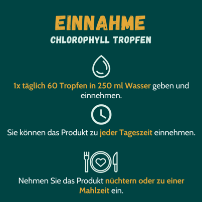 Sie sehen eine Packung Chlorophyll 200 mg Tropfen 50 ml, Produktbild: 02 Chlorophyll 200 mg Tropfen 50 ml, A-Nr.: 5666123 - 02