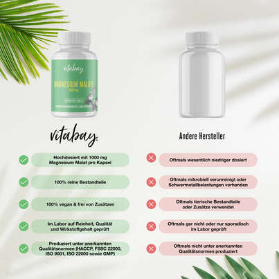 Vitabay Magnesium Malate 1000 mg Tabletten, A-Nr.: 5877788 - 02