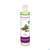 Taoasis Erkältungsduft Raumspray 50ml, A-Nr.: 3163323 - 03