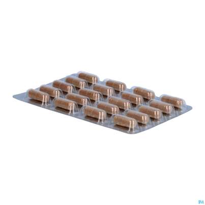 Sie sehen eine Packung Dr.wolz Thromboflow Kapseln 60654 60st, Produktbild: 08 Dr.wolz Thromboflow Kapseln 60654 60st, A-Nr.: 4164827 - 08