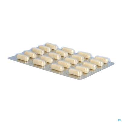 Sie sehen eine Packung Darmflora Plus Dr.wolz Select Kapseln Nr 60570 80st, Produktbild: 06 Darmflora Plus Dr.wolz Select Kapseln Nr 60570 80st, A-Nr.: 3839306 - 06