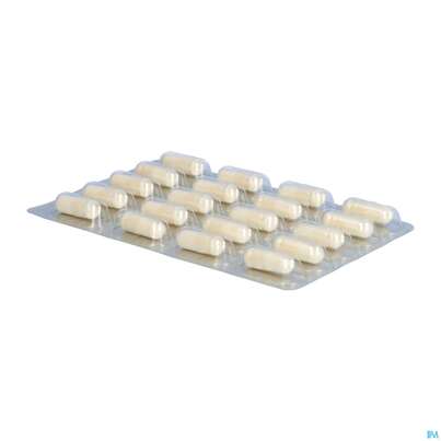 Darmflora Plus Dr.wolz Select Kapseln Nr 60586 40st, A-Nr.: 3839298 - 10