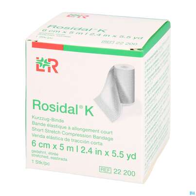 Elastische Binden Rosidal Hautfarben Kraeftig 5mx 6cm 1st, A-Nr.: 0472213 - 04