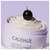 Sie sehen eine Packung Caudalie Vinotherapist Vegane Body Butter 250ml, Produktbild: 05 Caudalie Vinotherapist Vegane Body Butter 250ml, A-Nr.: 5608858 - 05