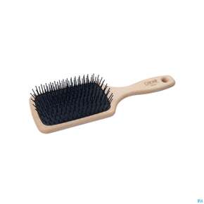 Canal Paddle-brush Buchenholz 9429- 1st, A-Nr.: 4788373 - 01