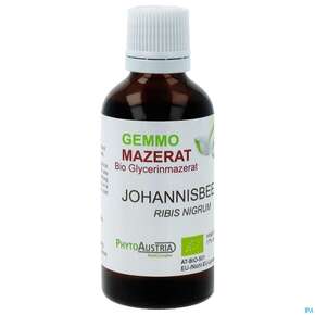 Gemmo Mazerat Bio Phytoaustria Schwarze Johannisbeere Ribis Nigrum 50ml, A-Nr.: 4597472 - 01