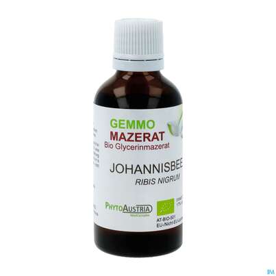 Gemmo Mazerat Bio Phytoaustria Schwarze Johannisbeere Ribis Nigrum 50ml, A-Nr.: 4597472 - 02