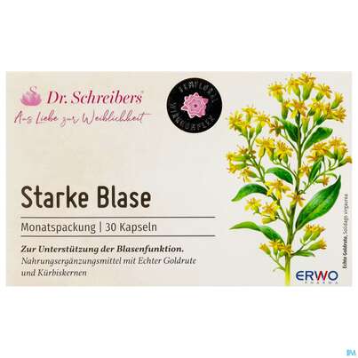 Sie sehen eine Packung Dr.schreibers Starke Blase 30st, Produktbild: 01 Dr.schreibers Starke Blase 30st, A-Nr.: 5751188 - 01