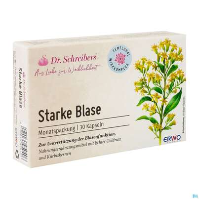 Sie sehen eine Packung Dr.schreibers Starke Blase 30st, Produktbild: 02 Dr.schreibers Starke Blase 30st, A-Nr.: 5751188 - 02