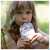 Holle Demeter Bio Fruechtepueree Ab 1 Jahr Bio Blue Bird Apfel/heidelbeer/hafer 100g, A-Nr.: 5080802 - 06