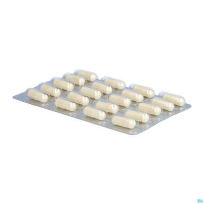 Sie sehen eine Packung Dr.wolz Darmflora Plus Select Intens Kapseln 60649 80st, Produktbild: 06 Dr.wolz Darmflora Plus Select Intens Kapseln 60649 80st, A-Nr.: 5646095 - 06